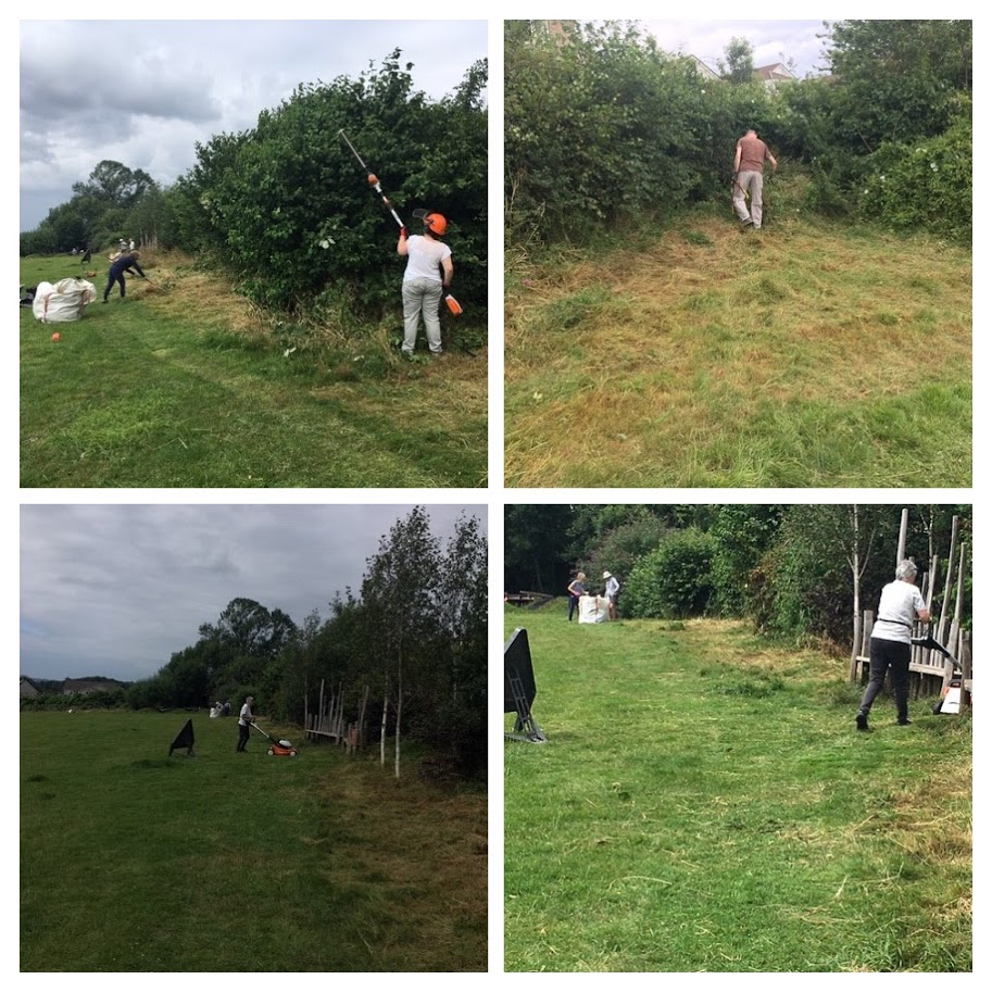 Collage of photos showing volunteers cutting the hedges